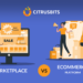 Ecommerce Platform vs. Marketplace: What's the Difference?